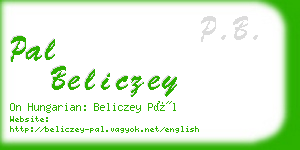 pal beliczey business card